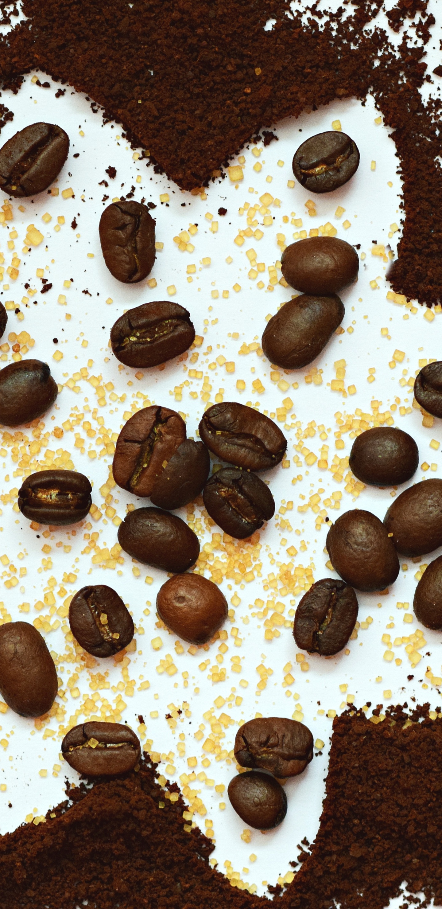 咖啡豆, 食品, 巧克力, 甜点, 巧克力芯片 壁纸 1440x2960 允许