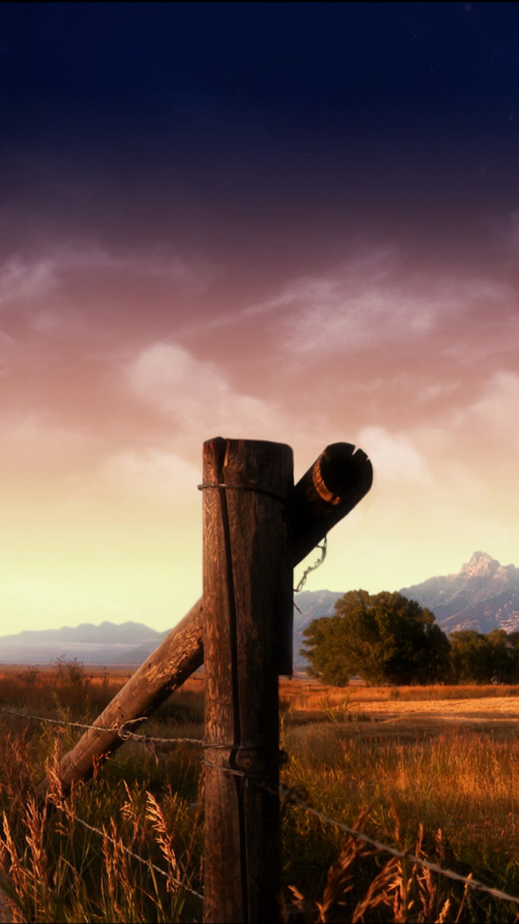 Photo en Niveaux de Gris D'une Grange au Milieu D'un Champ. Wallpaper in 750x1334 Resolution