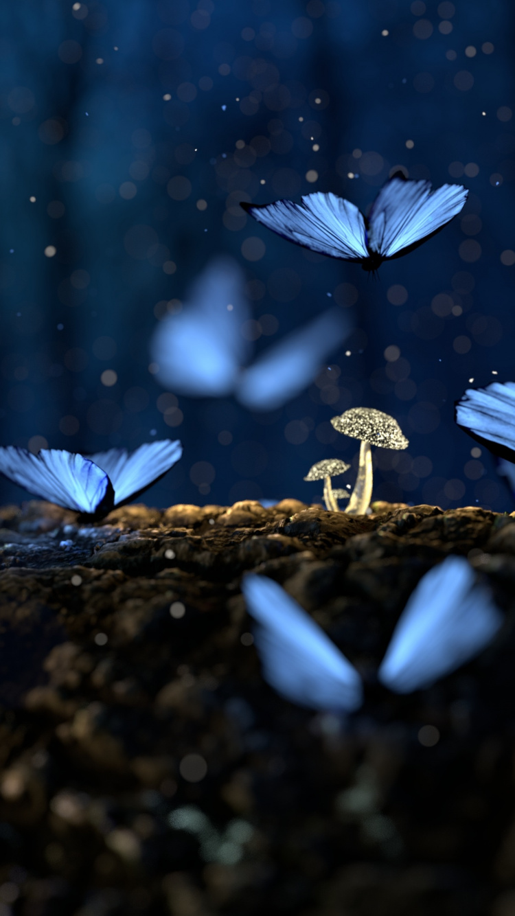 Oiseau Blanc Sur Sol Brun Pendant la Journée. Wallpaper in 750x1334 Resolution