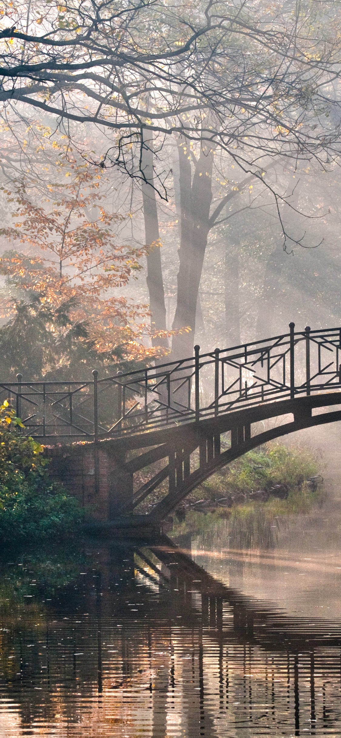 Puente, Naturaleza, Reflexión, Agua, la Vía Navegable. Wallpaper in 1125x2436 Resolution