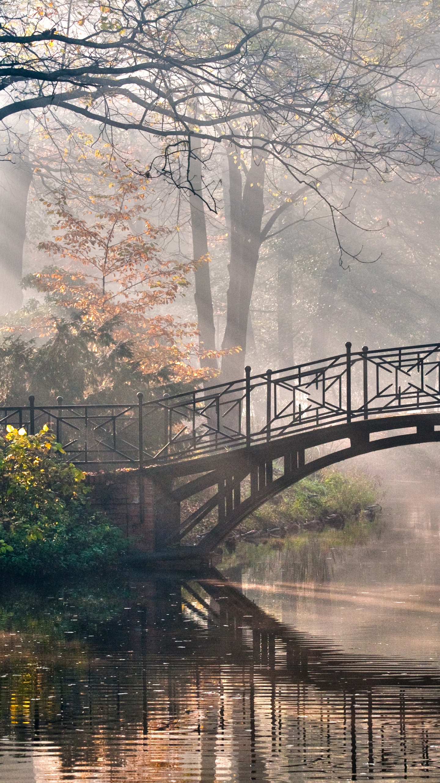 Pont, Nature, Réflexion, Eau, Voie Navigable. Wallpaper in 1440x2560 Resolution