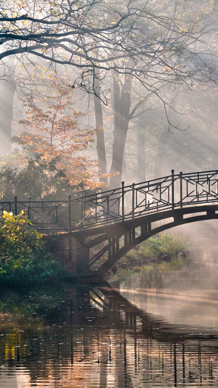 Pont, Nature, Réflexion, Eau, Voie Navigable. Wallpaper in 750x1334 Resolution