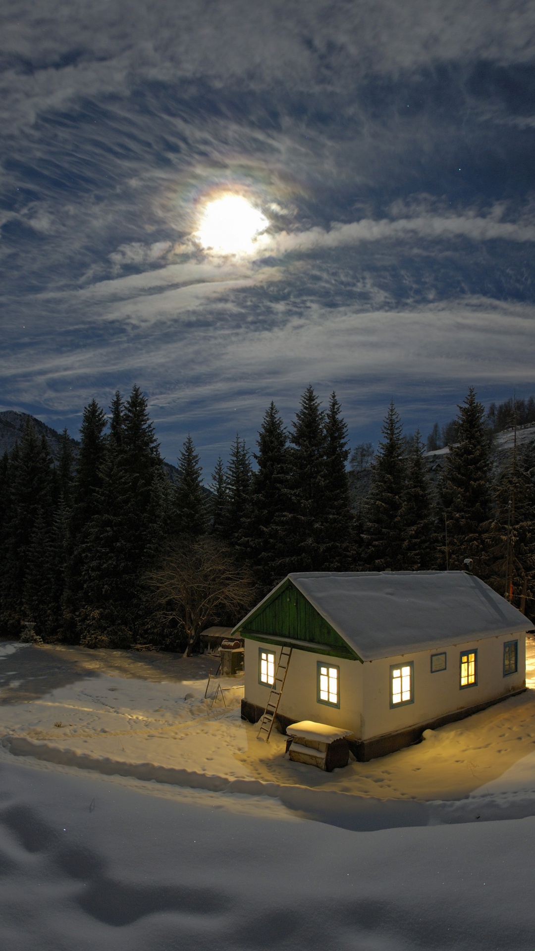 Grünes Haus, Umgeben Von Schneebedeckten Feldern Und Pinien Unter Blauem Himmel Und Weißen Wolken. Wallpaper in 1080x1920 Resolution