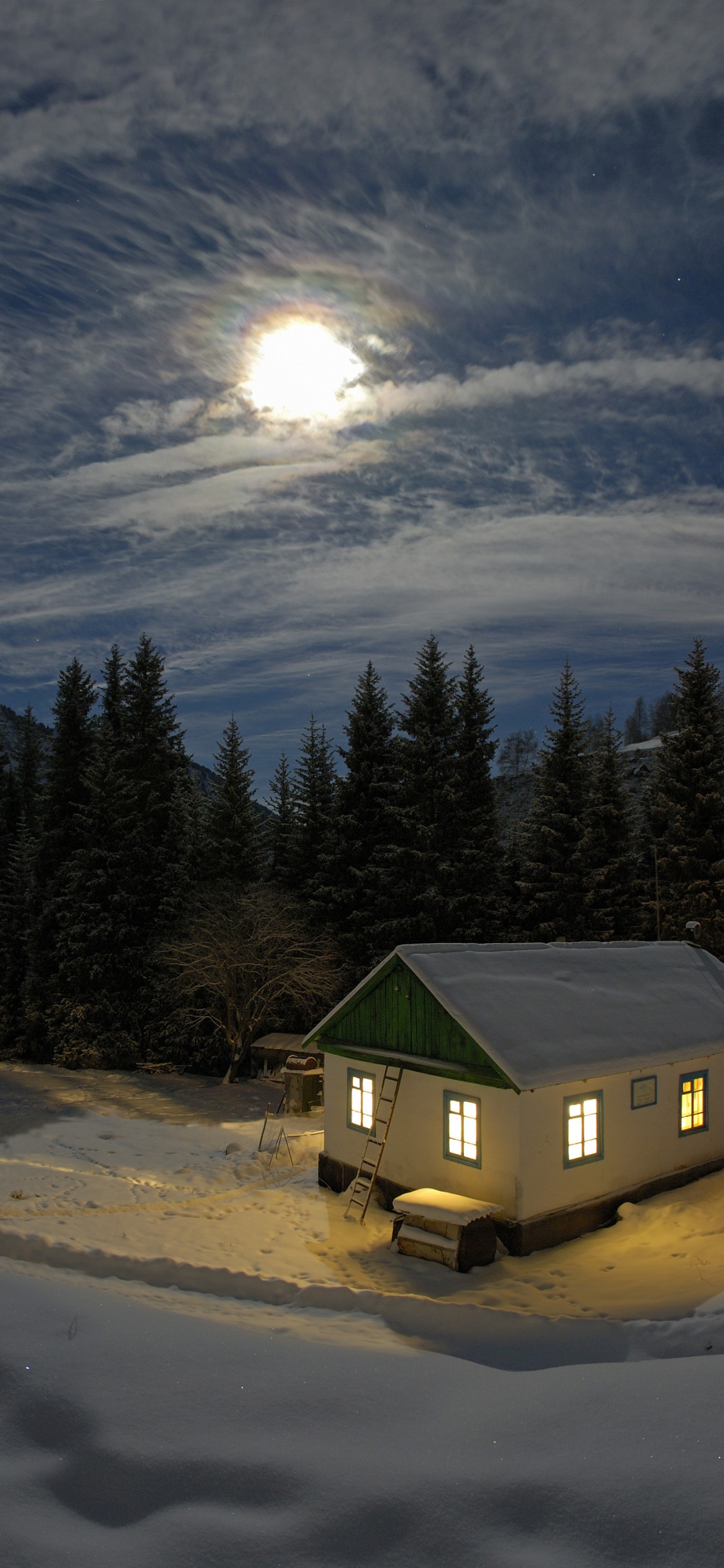 Maison Verte Entourée de Champ Couvert de Neige et de Pins Sous Ciel Bleu et Nuages Blancs. Wallpaper in 1125x2436 Resolution