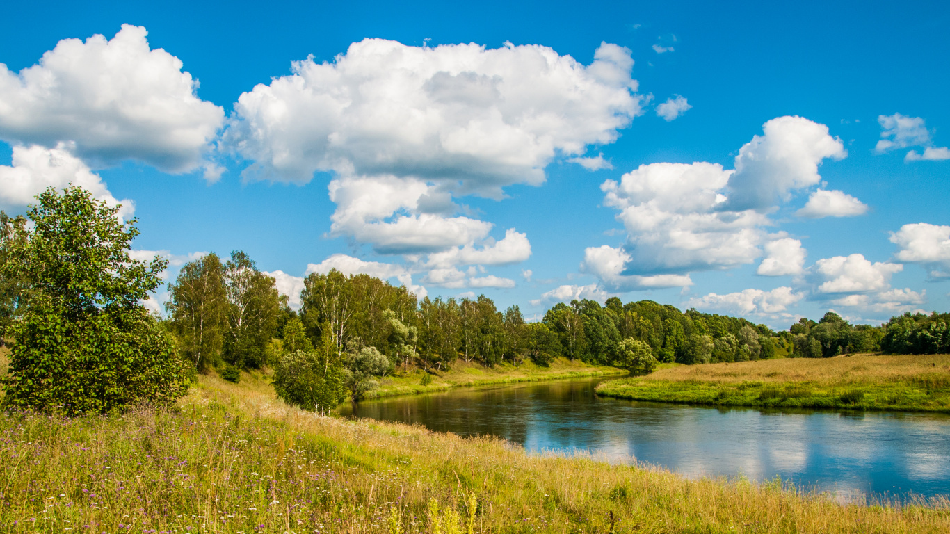Grüne Bäume Neben Dem Fluss Unter Blauem Himmel Und Weißen Wolken Tagsüber. Wallpaper in 1366x768 Resolution