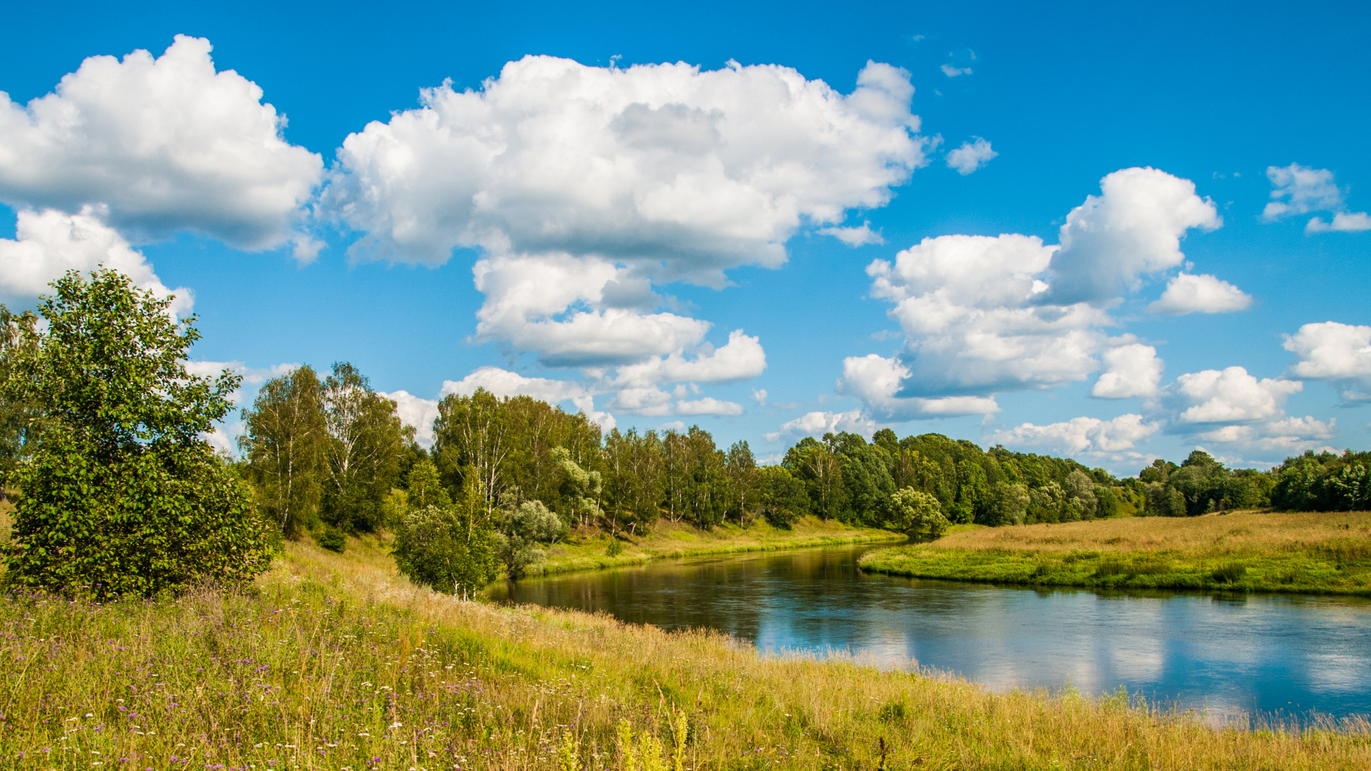 Green Trees Beside River Under Blue Sky and White Clouds During Daytime. Wallpaper in 1920x1080 Resolution