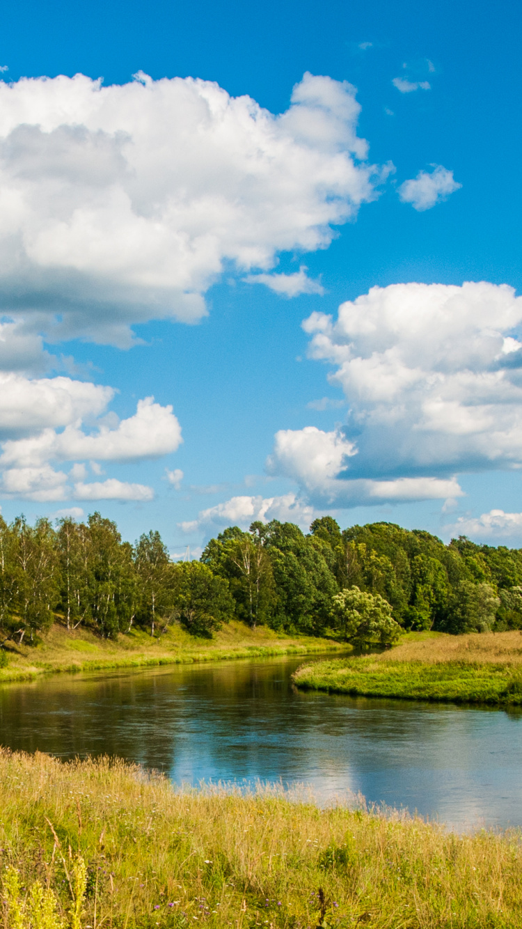 Arbres Verts à Côté de la Rivière Sous Ciel Bleu et Nuages Blancs Pendant la Journée. Wallpaper in 750x1334 Resolution