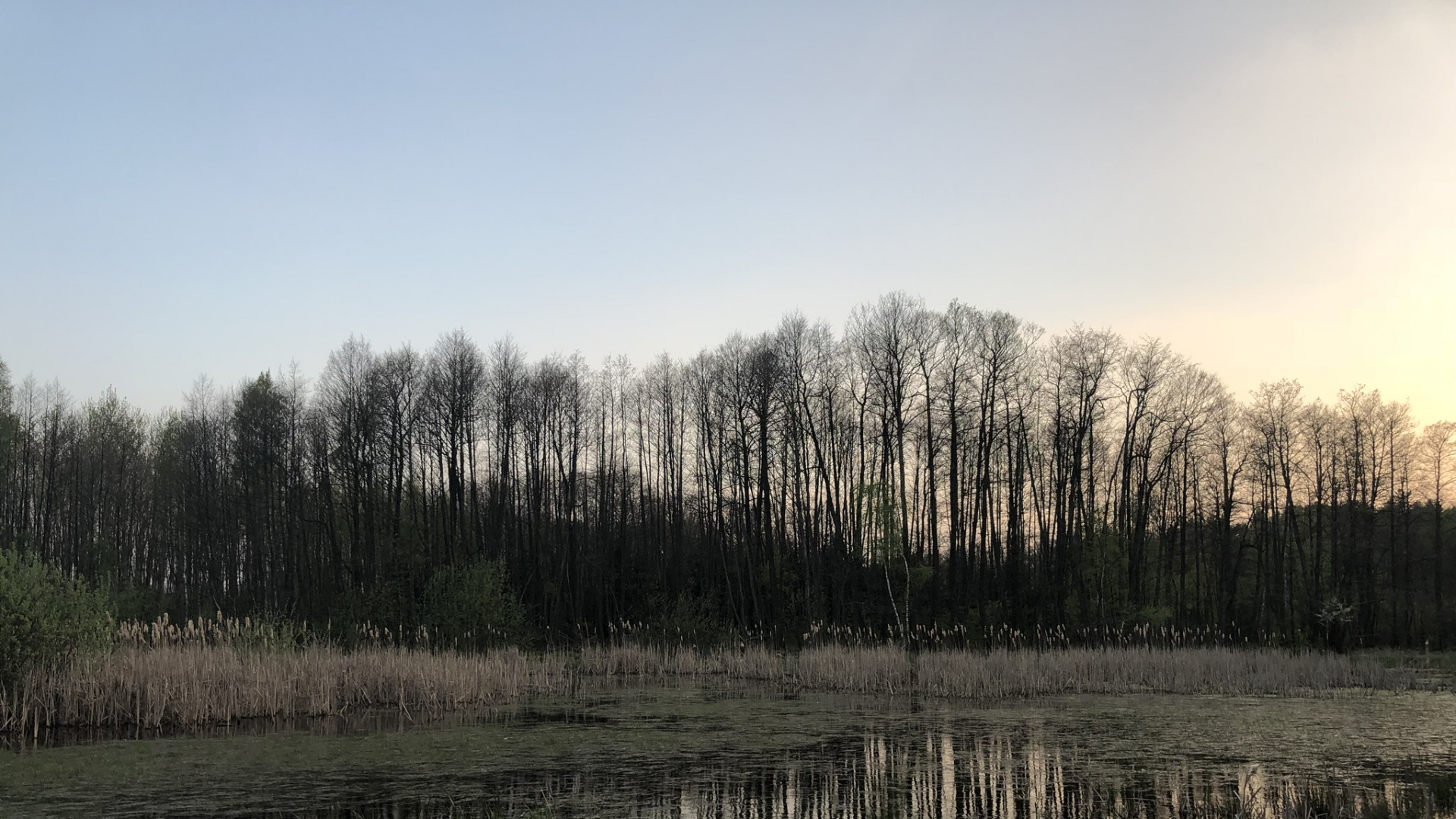 Water, Nature, Natural Landscape, Natural Environment, Marsh. Wallpaper in 1920x1080 Resolution