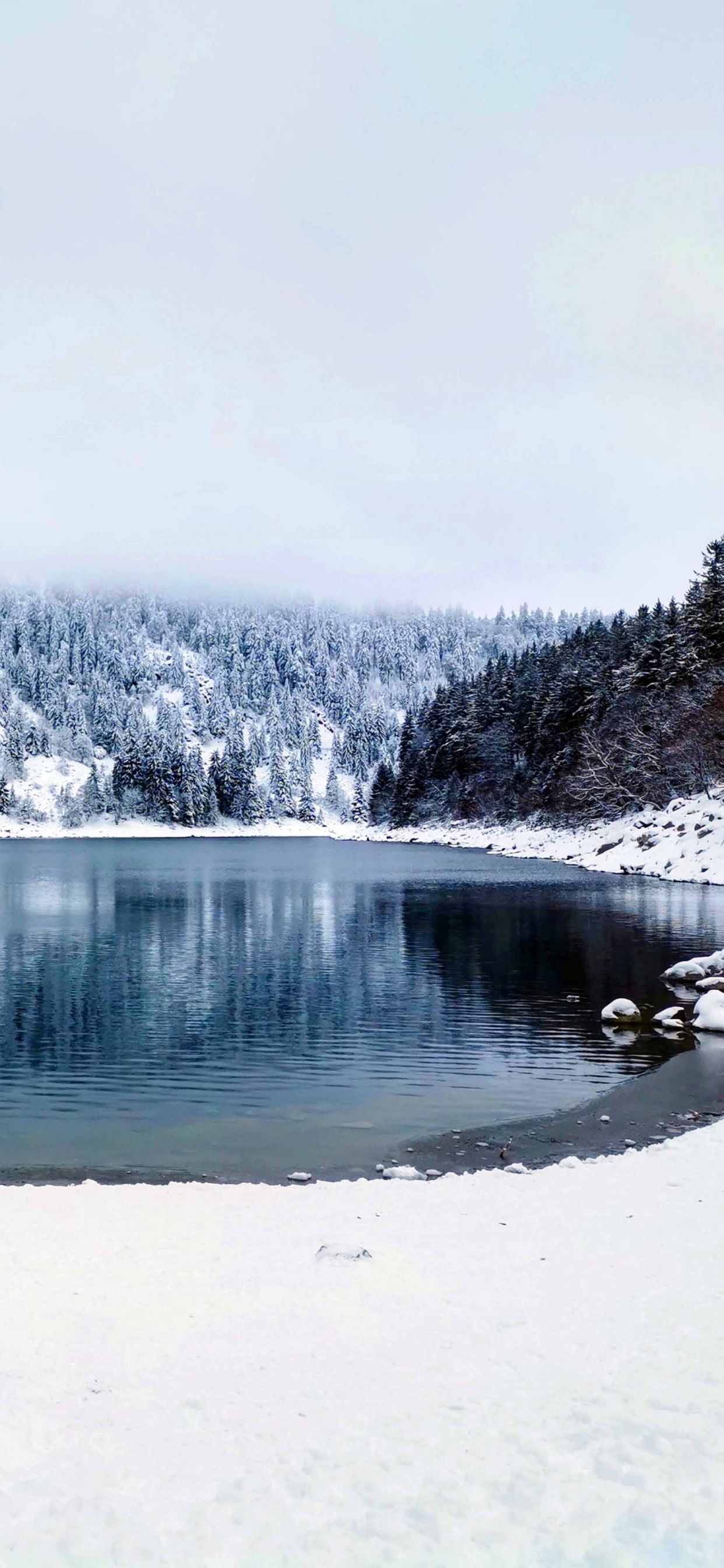 Invierno, Wisgoon - Red Social, Agua, Nieve, Paisaje Natural. Wallpaper in 1242x2688 Resolution