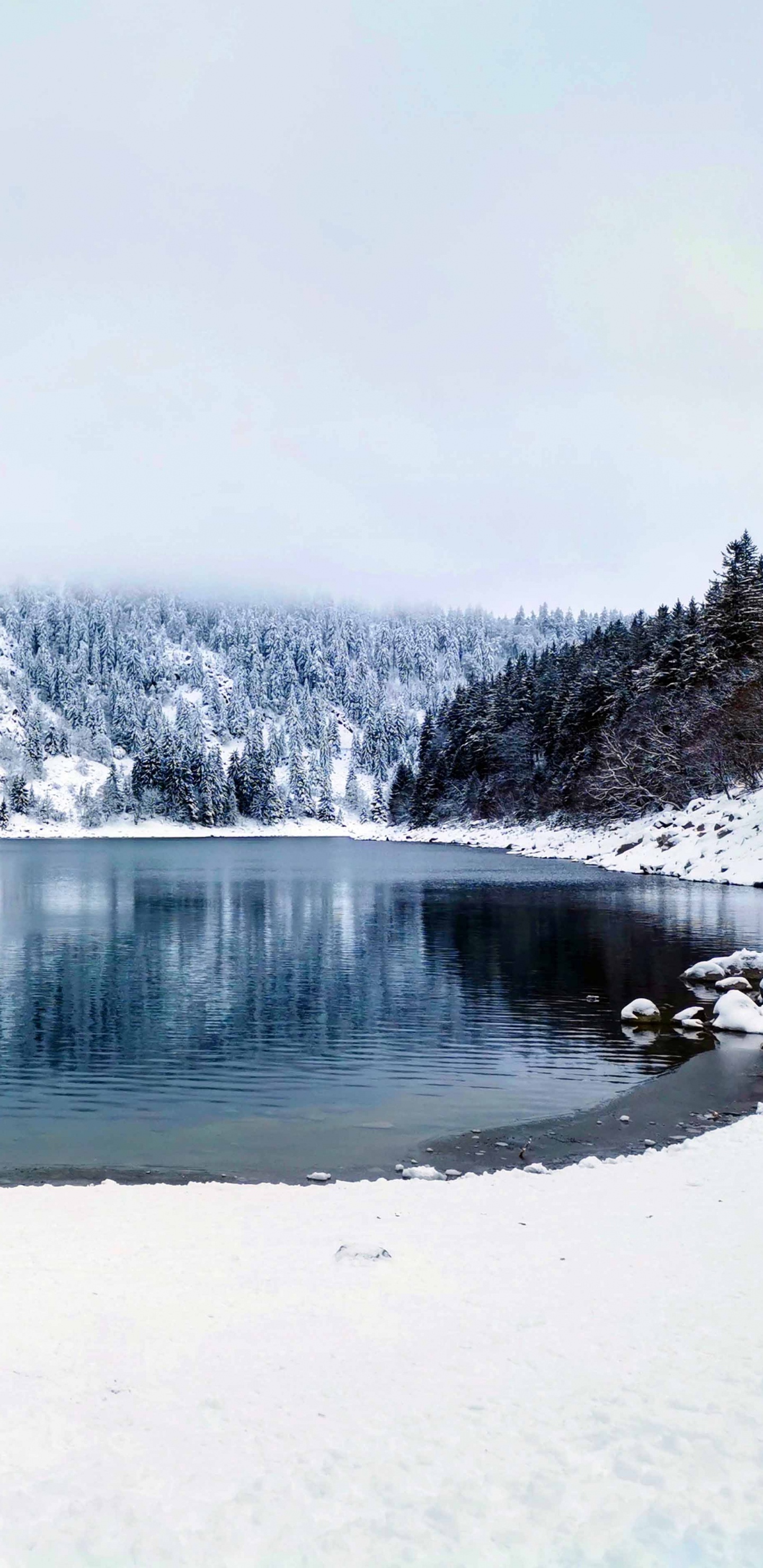 Winter, Wisgoon - Social Network, Water, Snow, Natural Landscape. Wallpaper in 1440x2960 Resolution