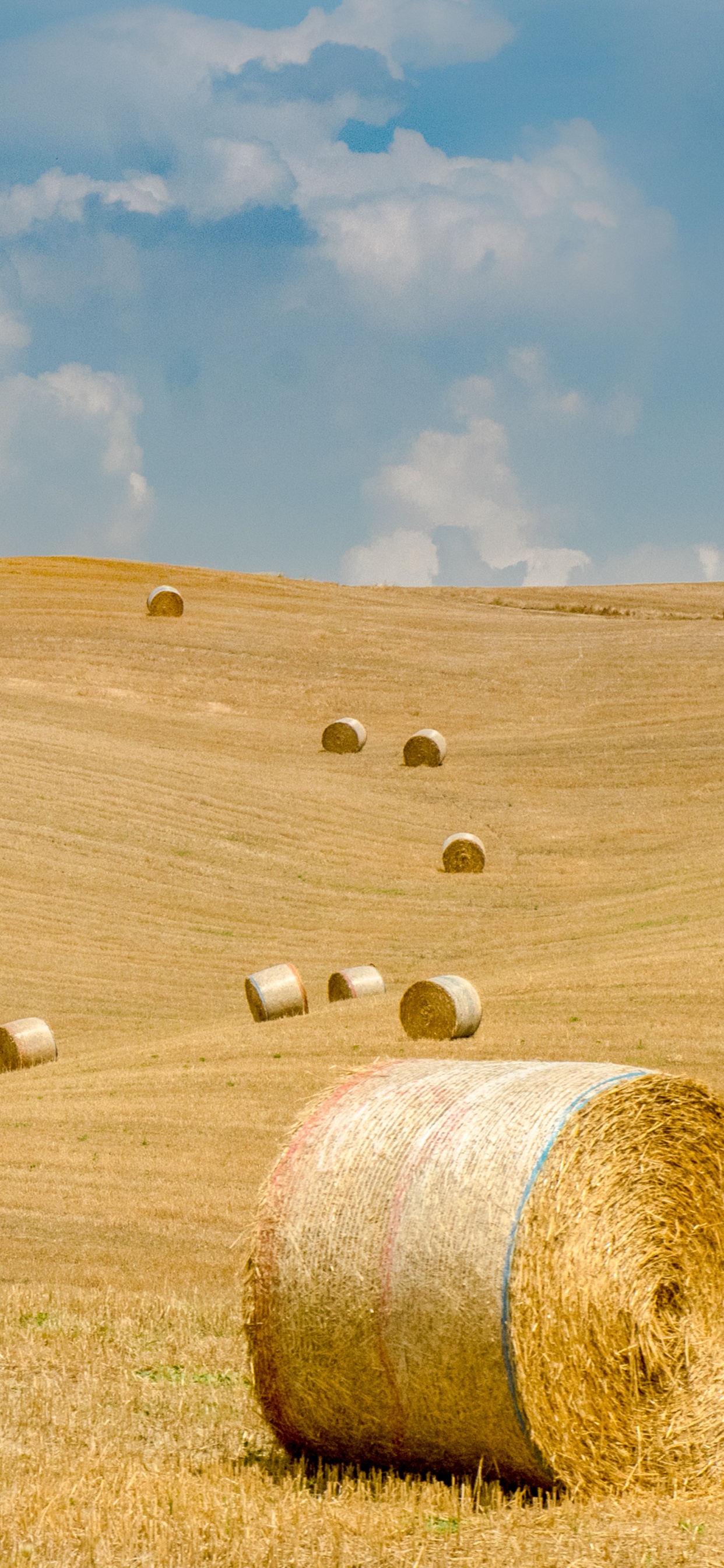 Hay, Grassland, Field, Straw, Plain. Wallpaper in 1242x2688 Resolution