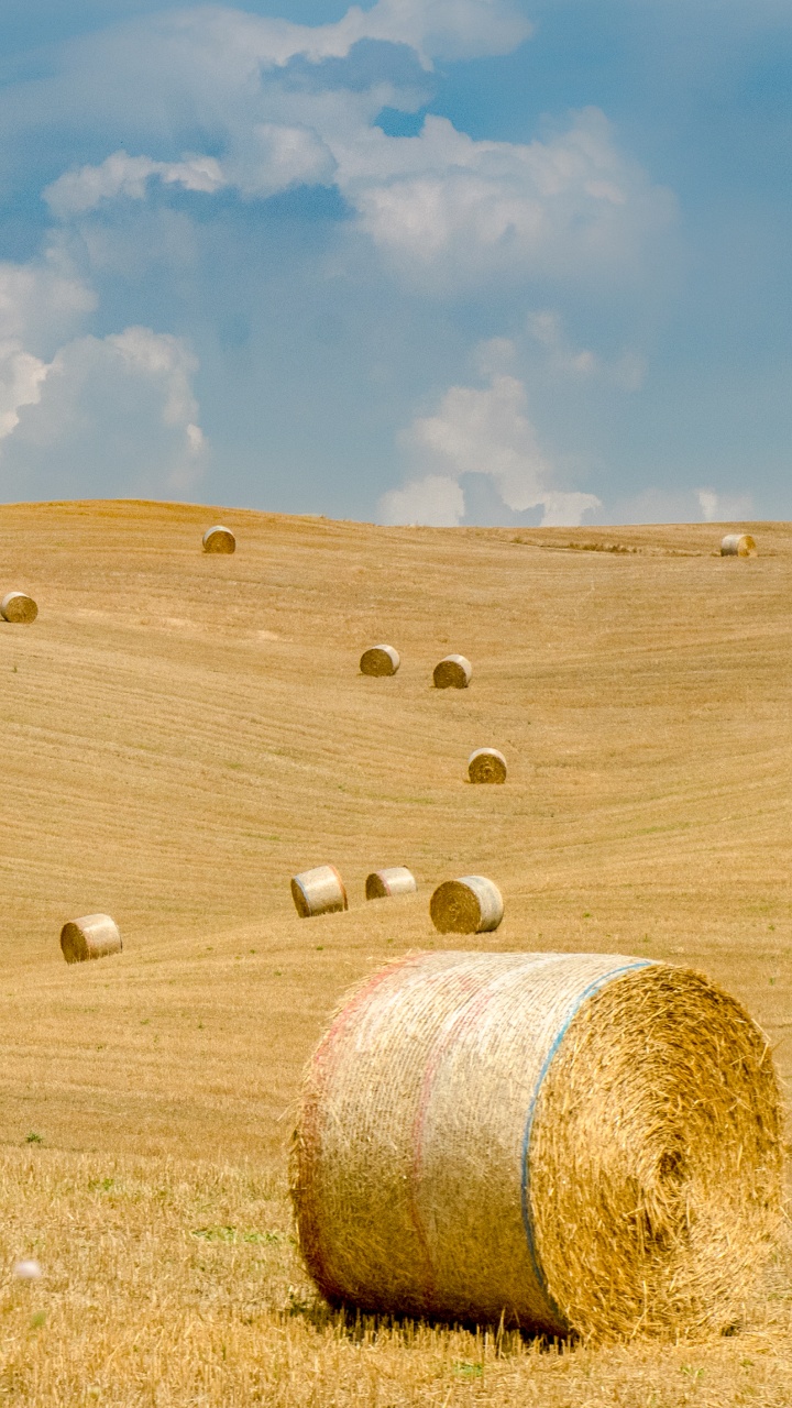 Hay, Grassland, Field, Straw, Plain. Wallpaper in 720x1280 Resolution