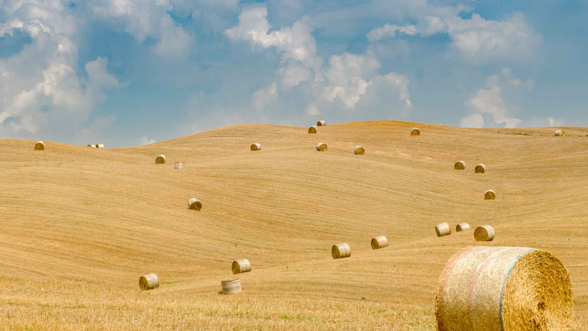 Heu, Grünland, Feld, Stroh, Ebene. Wallpaper in 1920x1080 Resolution