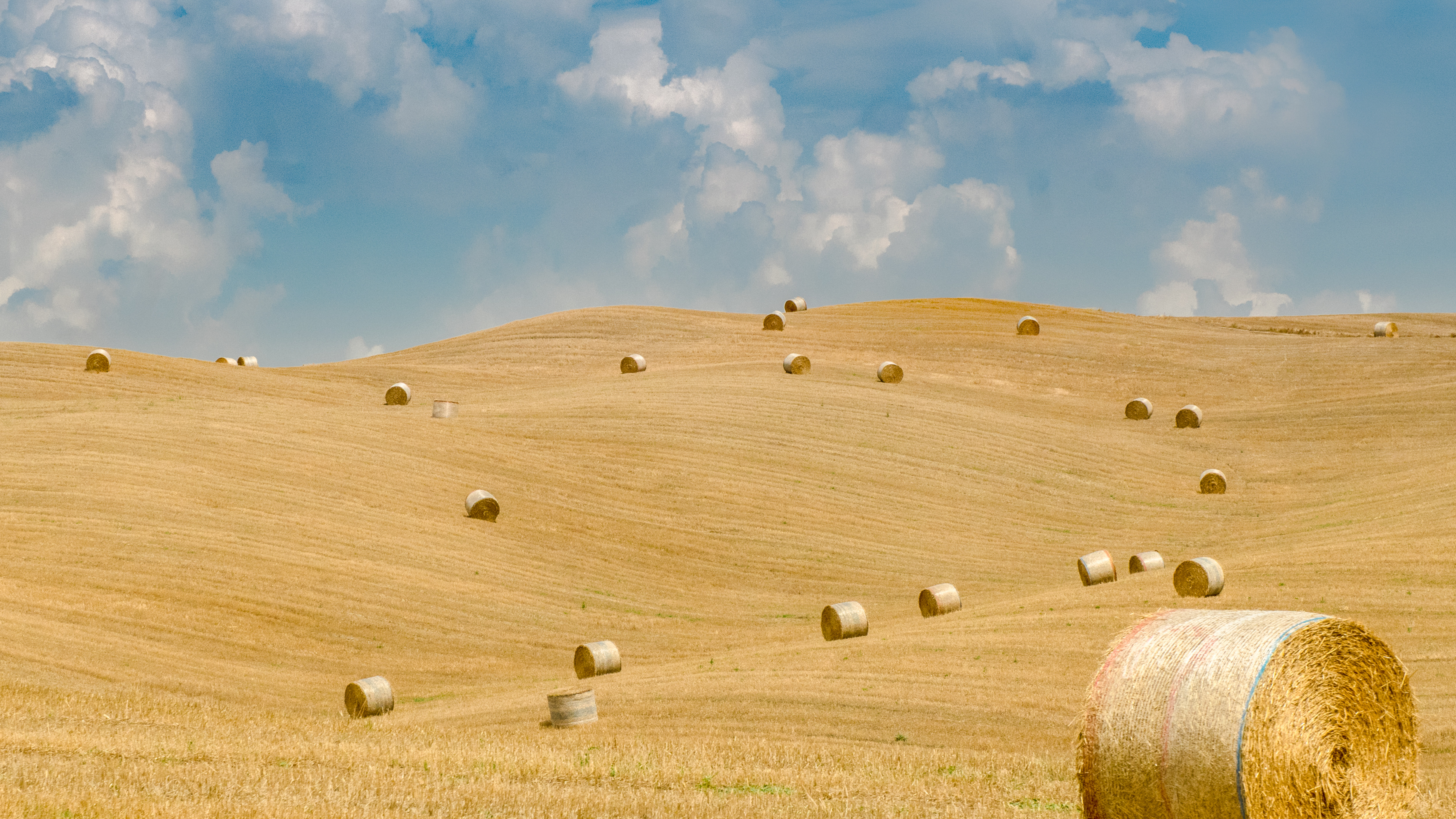 Heu, Grünland, Feld, Stroh, Ebene. Wallpaper in 7680x4320 Resolution