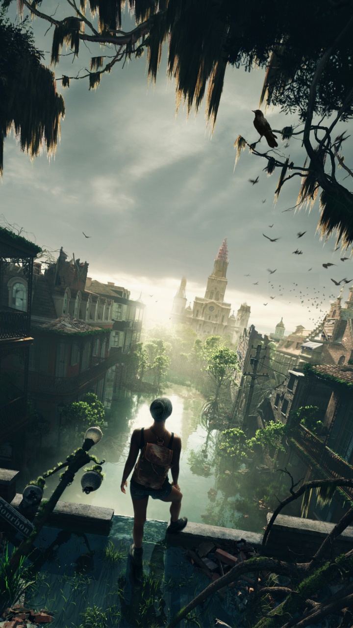 本书, 作者, 性质, 建筑, 阳光 壁纸 720x1280 允许