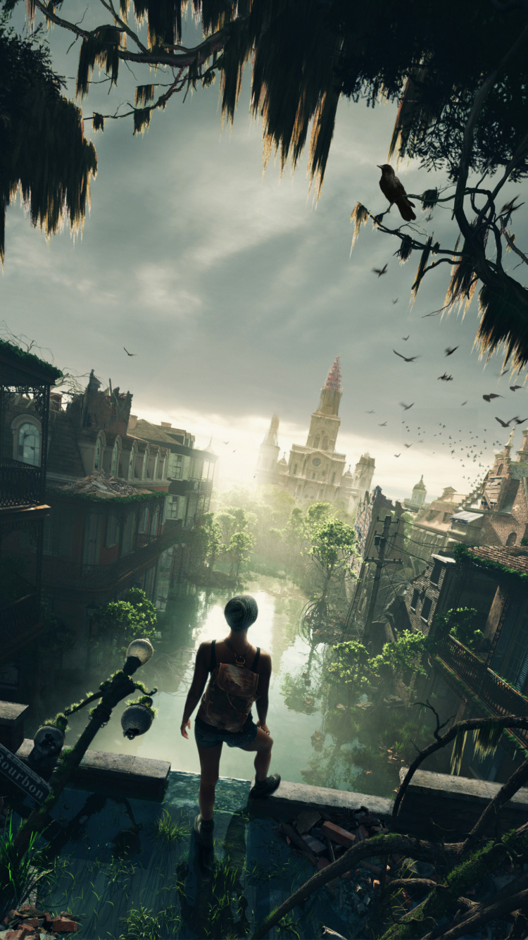 Orleans Sherri Smith, Orleans, Sherri l Smith, Flygirl, Hot Sour Salty Sweet. Wallpaper in 750x1334 Resolution