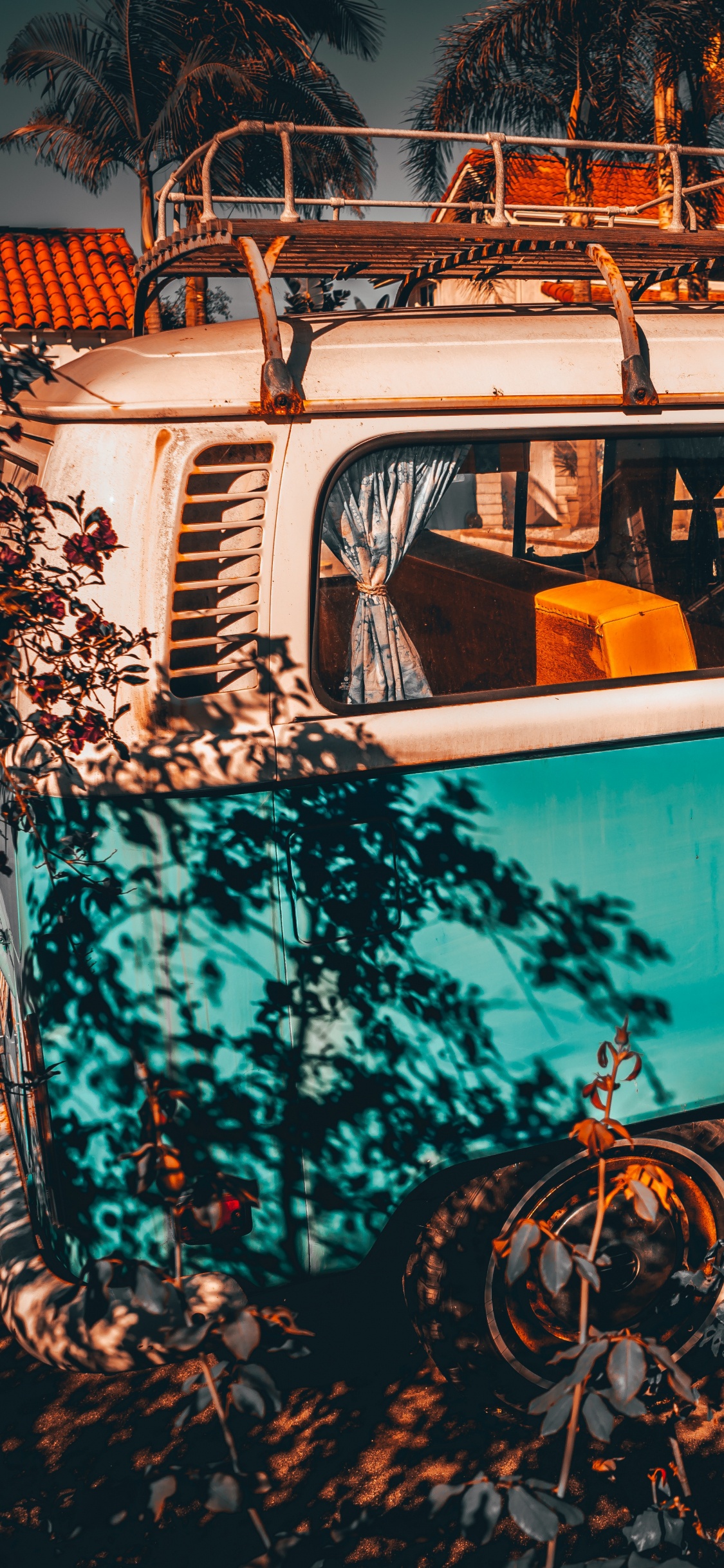 Volkswagen T-1 Azul y Blanco. Wallpaper in 1125x2436 Resolution