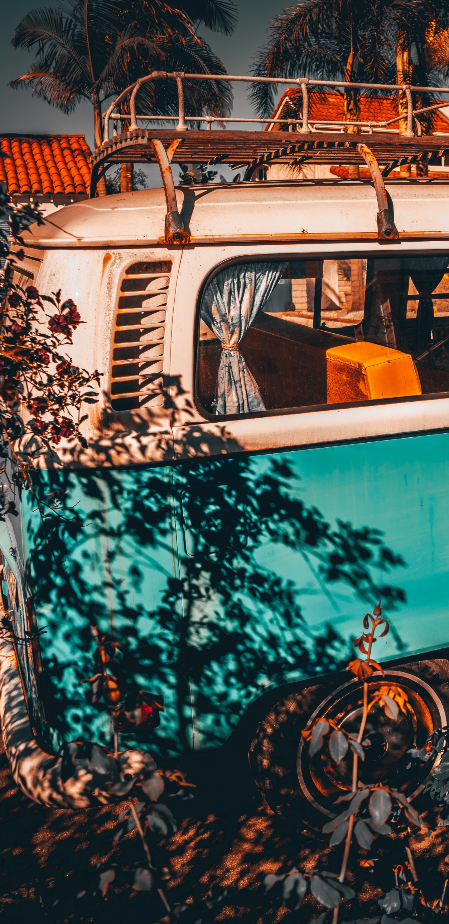 Volkswagen T-1 Azul y Blanco. Wallpaper in 1440x2960 Resolution