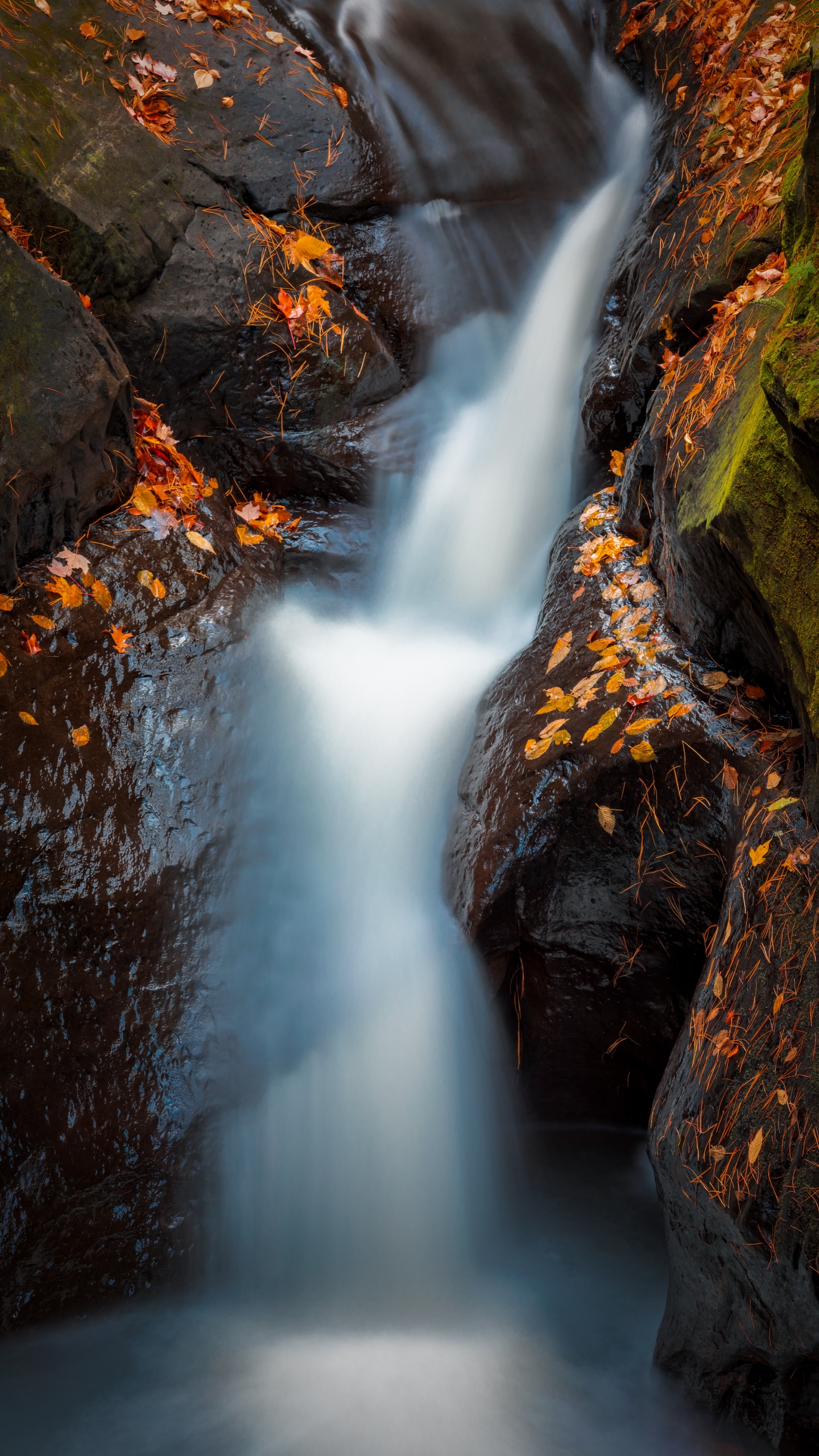 Cuerpo de Agua, Cascada, Naturaleza, Agua, Paisaje Natural. Wallpaper in 1440x2560 Resolution