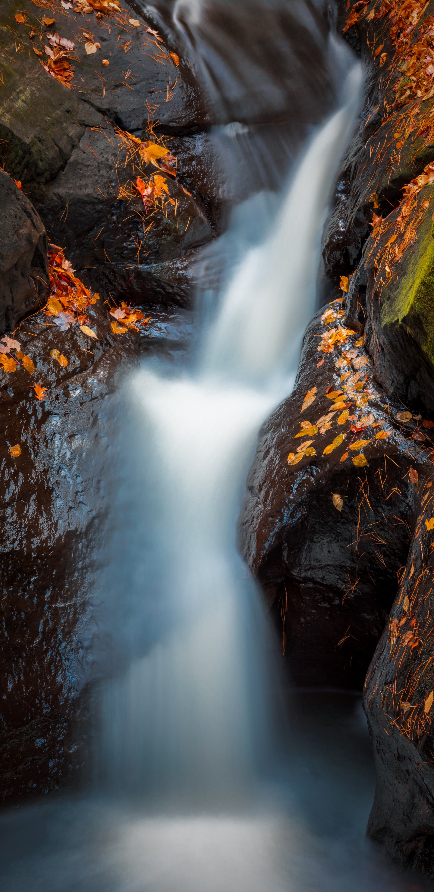 Gewässer, Wasserfall, Natur, Wasser, Naturlandschaft. Wallpaper in 1440x2960 Resolution