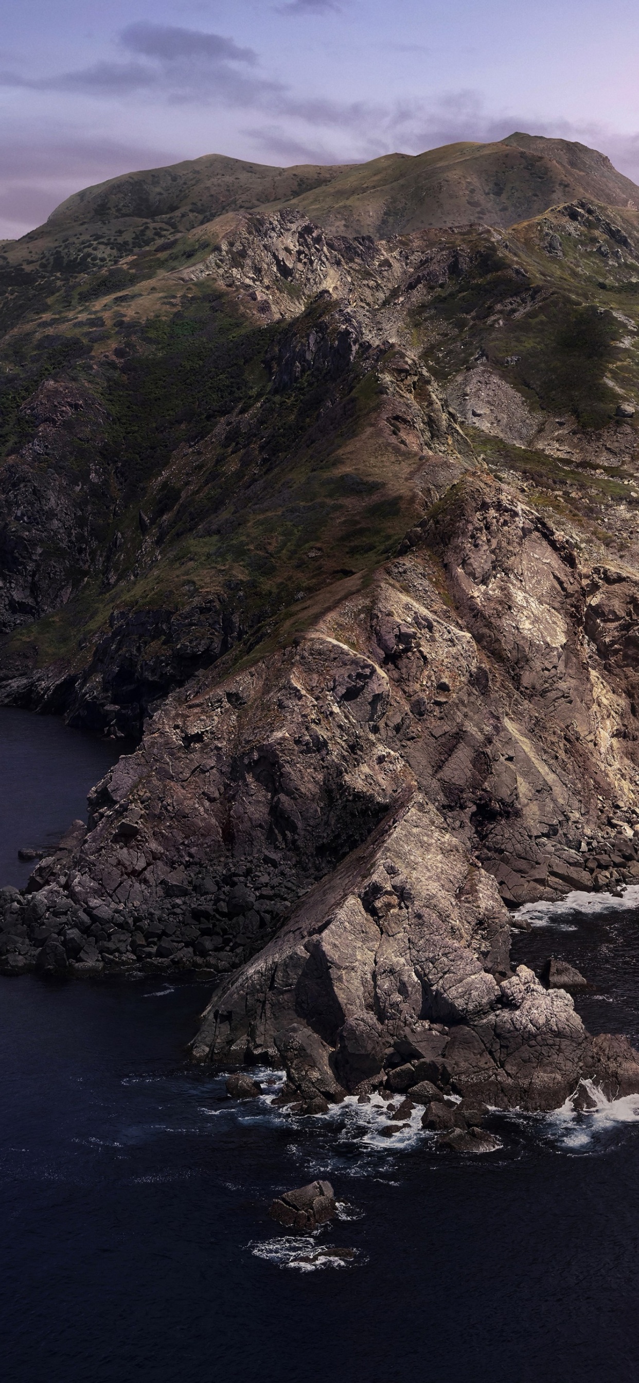 Mac os Catalina, Manzana, Sistema Operativo, Apple MacBook Pro, ICloud. Wallpaper in 1242x2688 Resolution