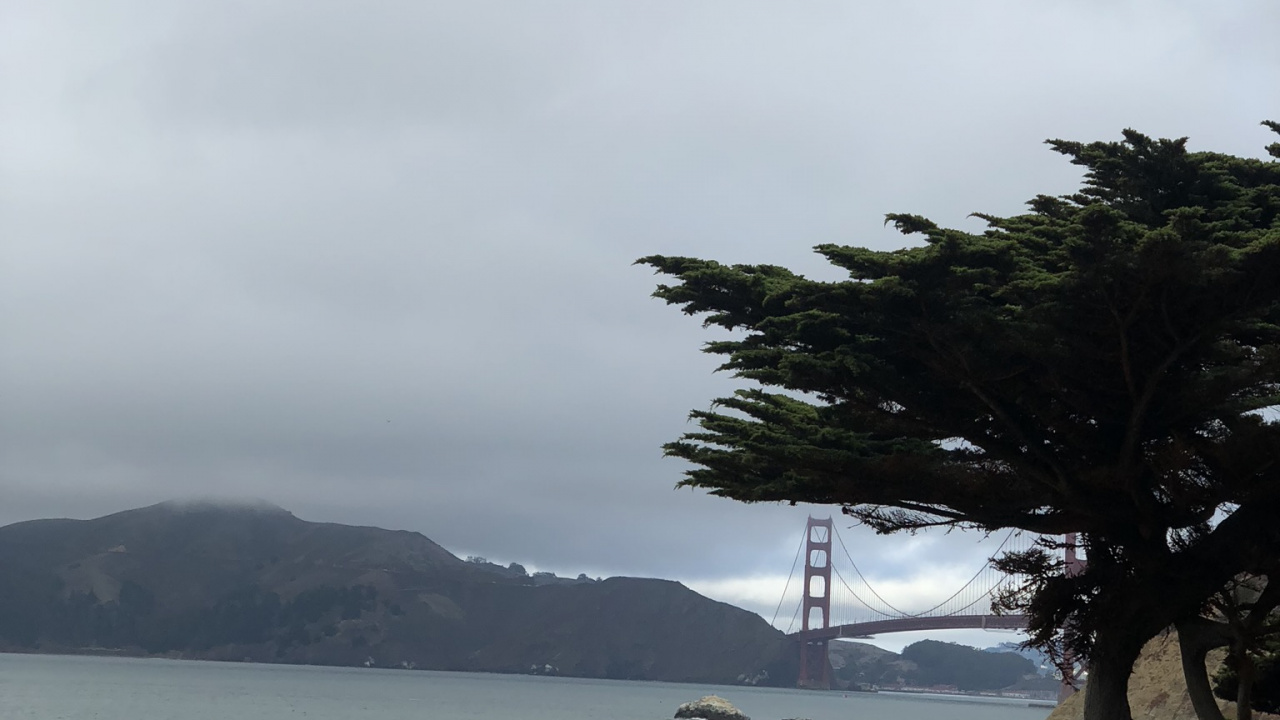 大海, 海岸, 岸边, 海洋, 沙 壁纸 1280x720 允许