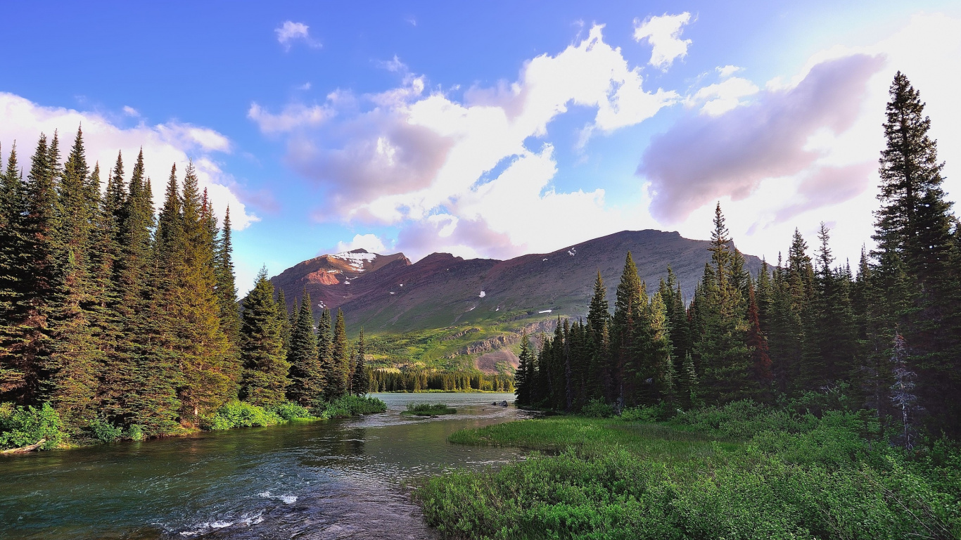 Green Pine Trees Near Lake Under Blue Sky During Daytime. Wallpaper in 1366x768 Resolution