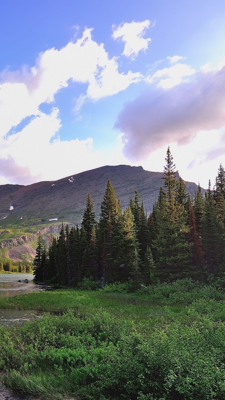 Green Pine Trees Near Lake Under Blue Sky During Daytime. Wallpaper in 720x1280 Resolution
