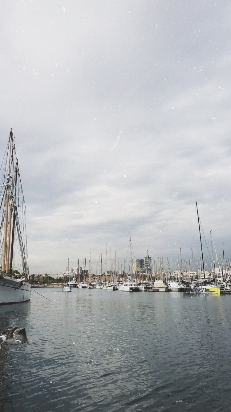 Marina, Sail, Mast, Boat, Sailboat. Wallpaper in 750x1334 Resolution