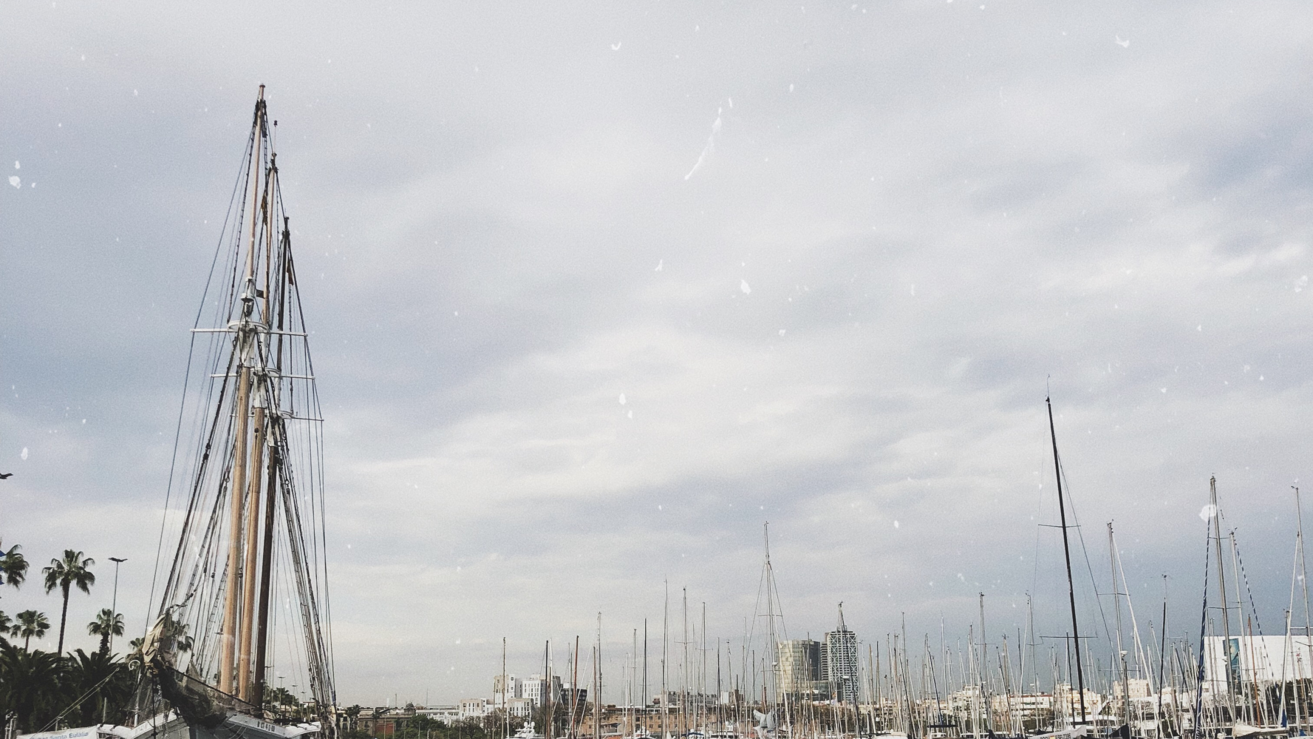 Marina, Segel, Mast, Boot, Segelboot. Wallpaper in 2560x1440 Resolution