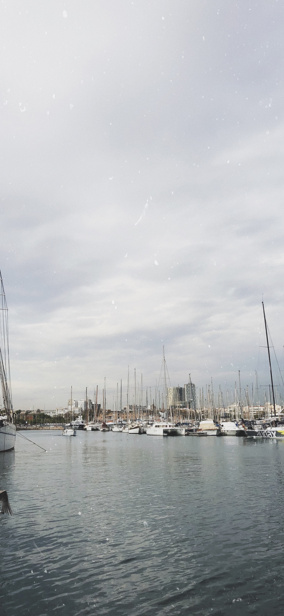 Marina, Voile, Mât, Bateau, Eau. Wallpaper in 1125x2436 Resolution