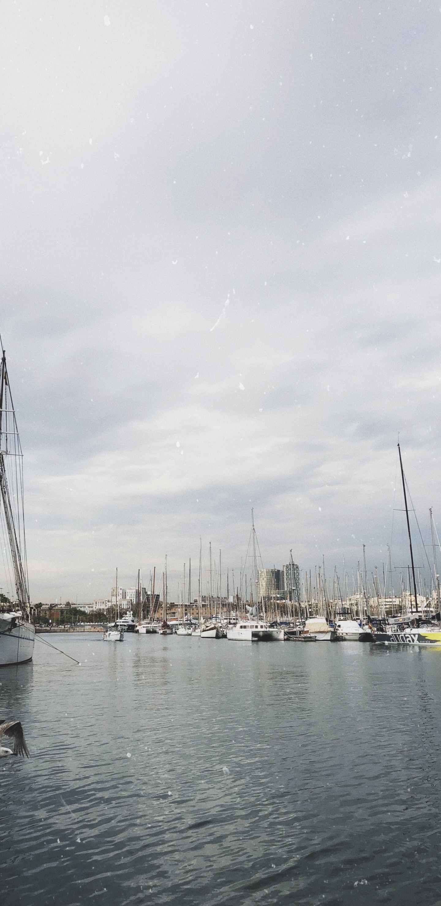 Marina, Voile, Mât, Bateau, Eau. Wallpaper in 1440x2960 Resolution