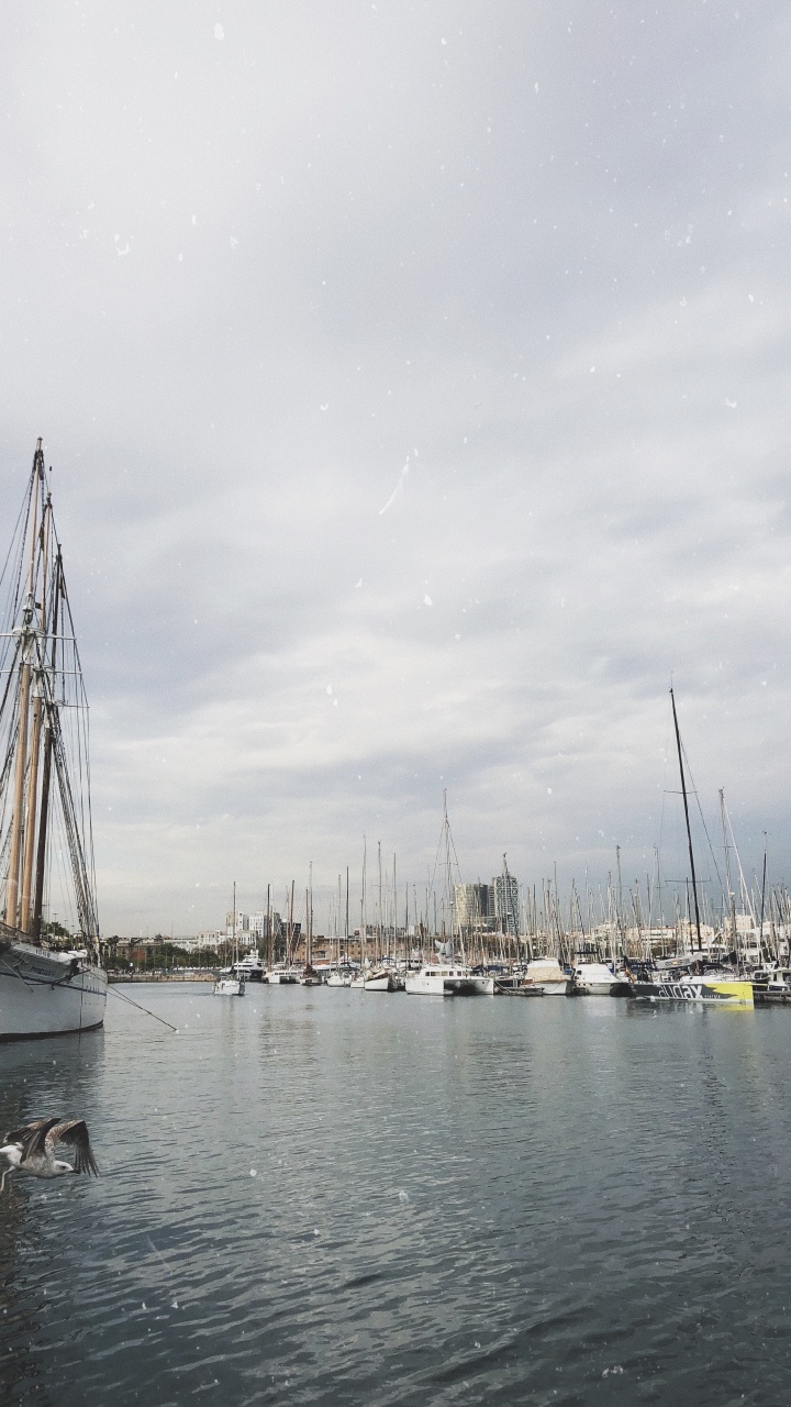 Marina, Voile, Mât, Bateau, Eau. Wallpaper in 720x1280 Resolution