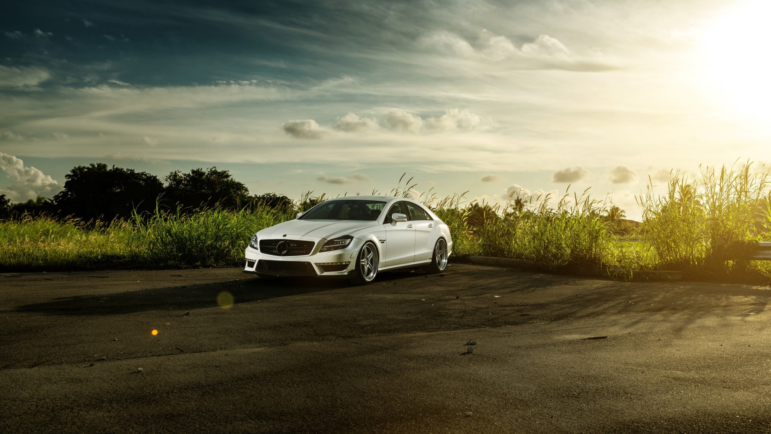 Weiße Limousine Tagsüber Unterwegs. Wallpaper in 2560x1440 Resolution