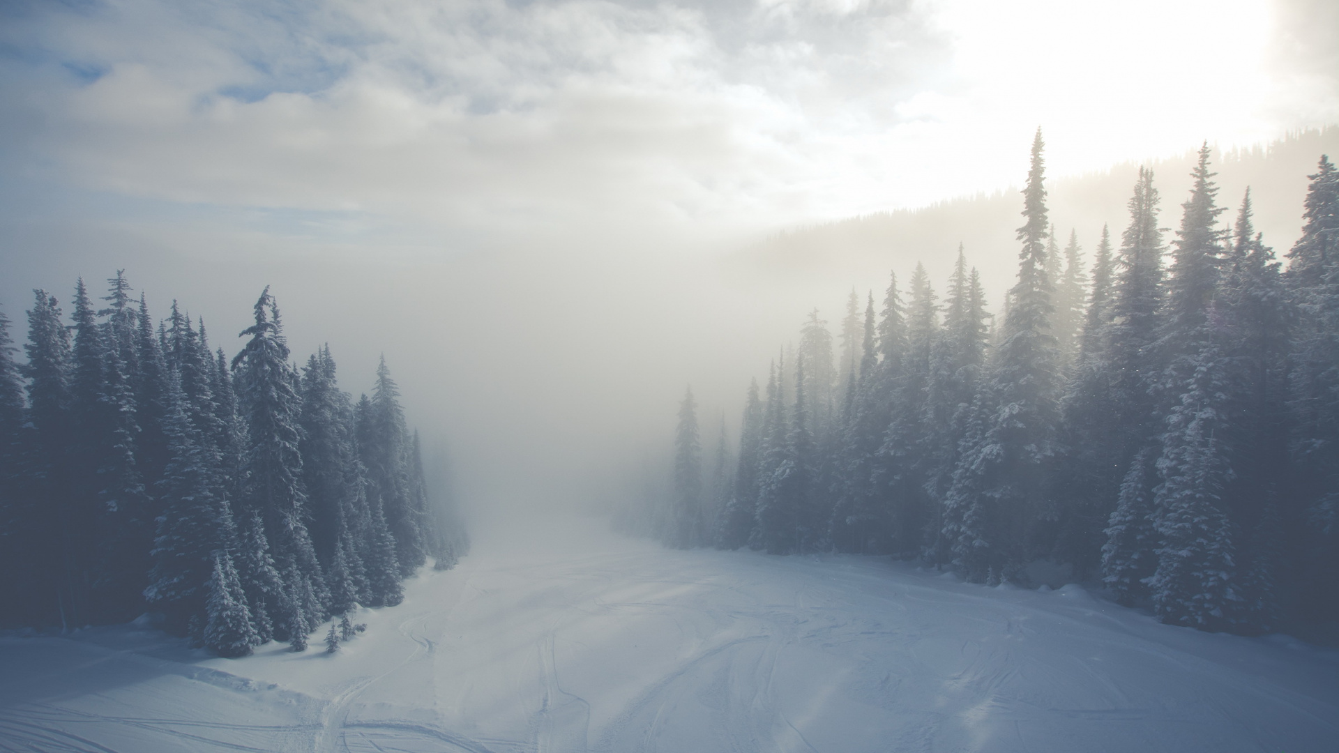 Campo Cubierto de Nieve y Árboles Bajo Nubes Blancas. Wallpaper in 1920x1080 Resolution
