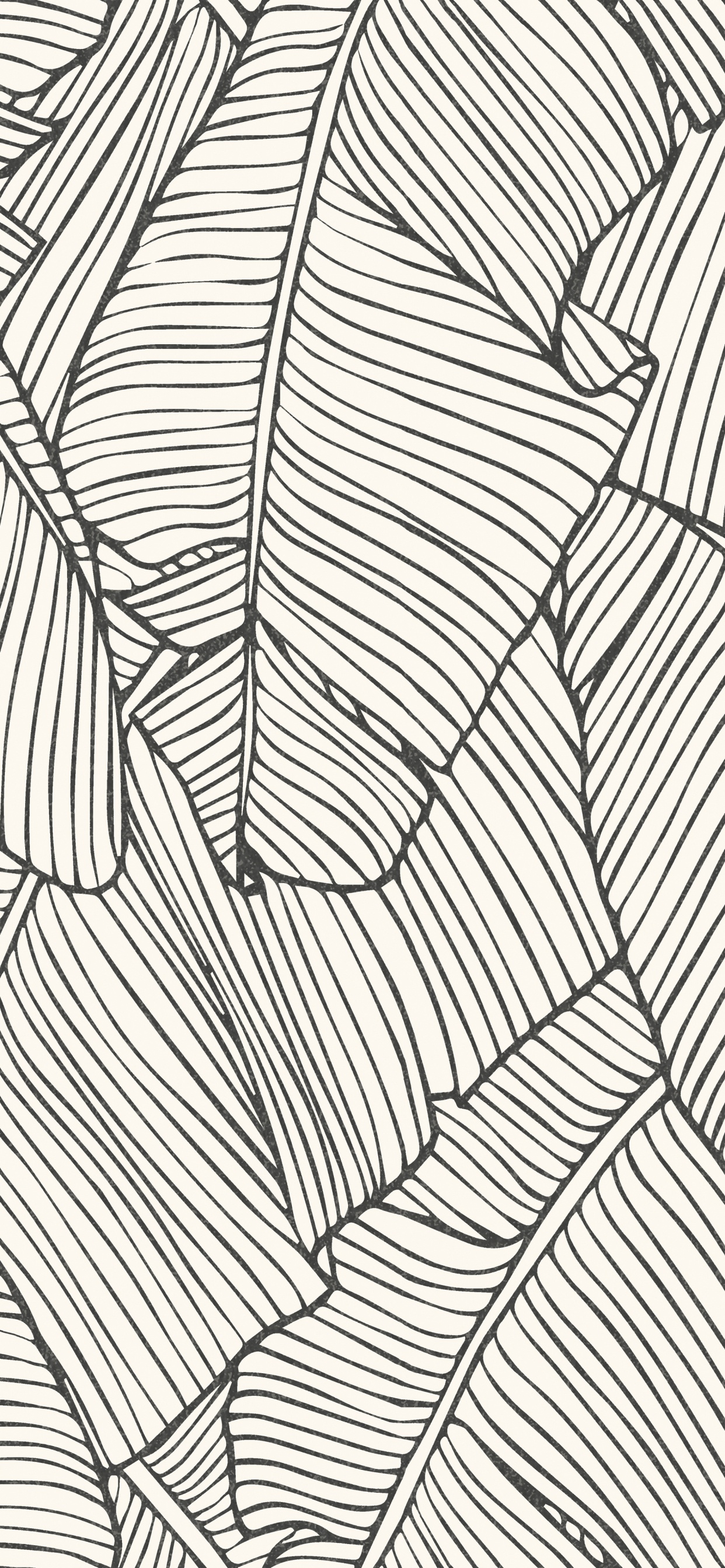 Weiß-schwarz Gestreiftes Textil. Wallpaper in 1242x2688 Resolution