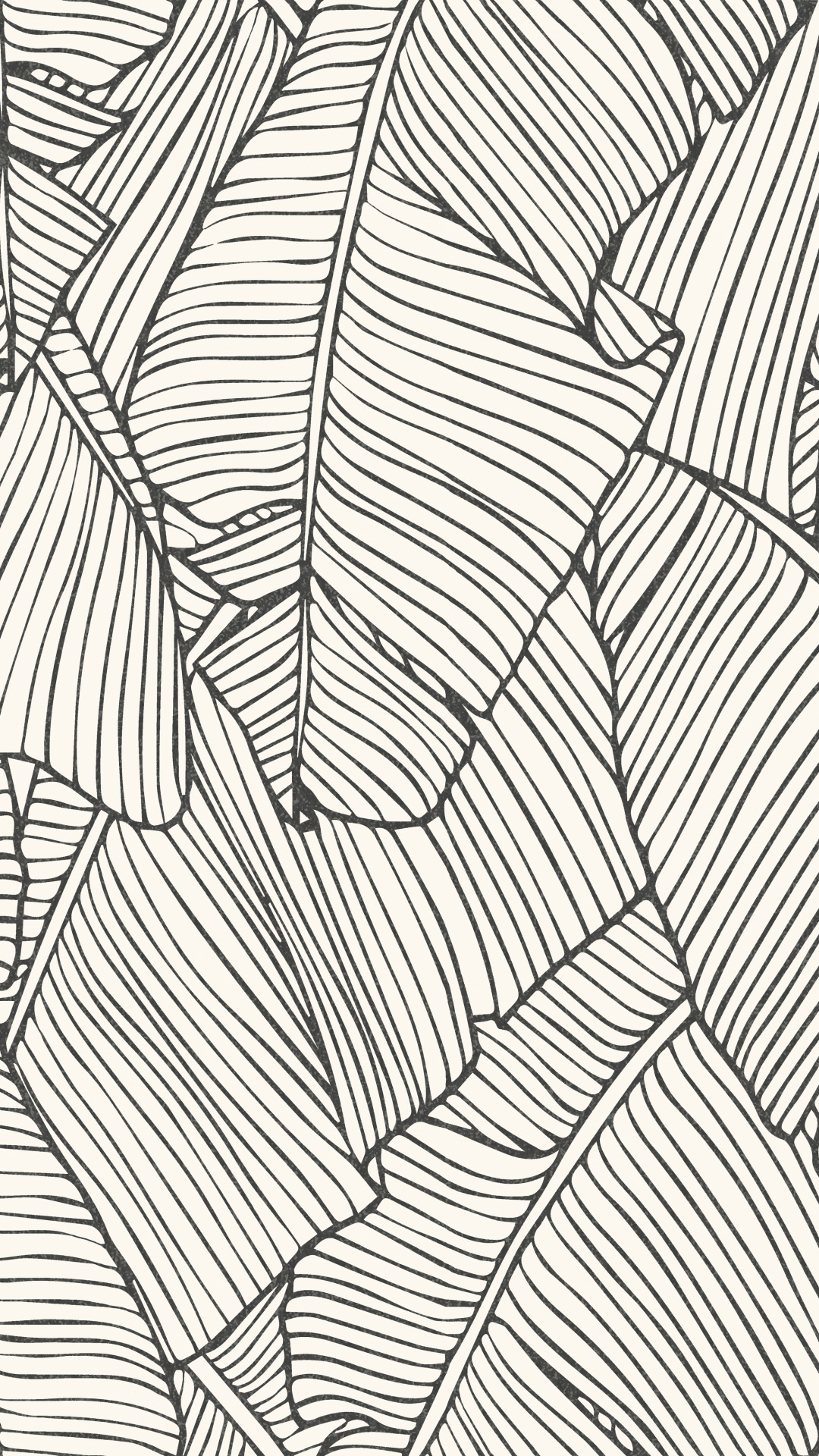 White and Black Striped Textile. Wallpaper in 1080x1920 Resolution