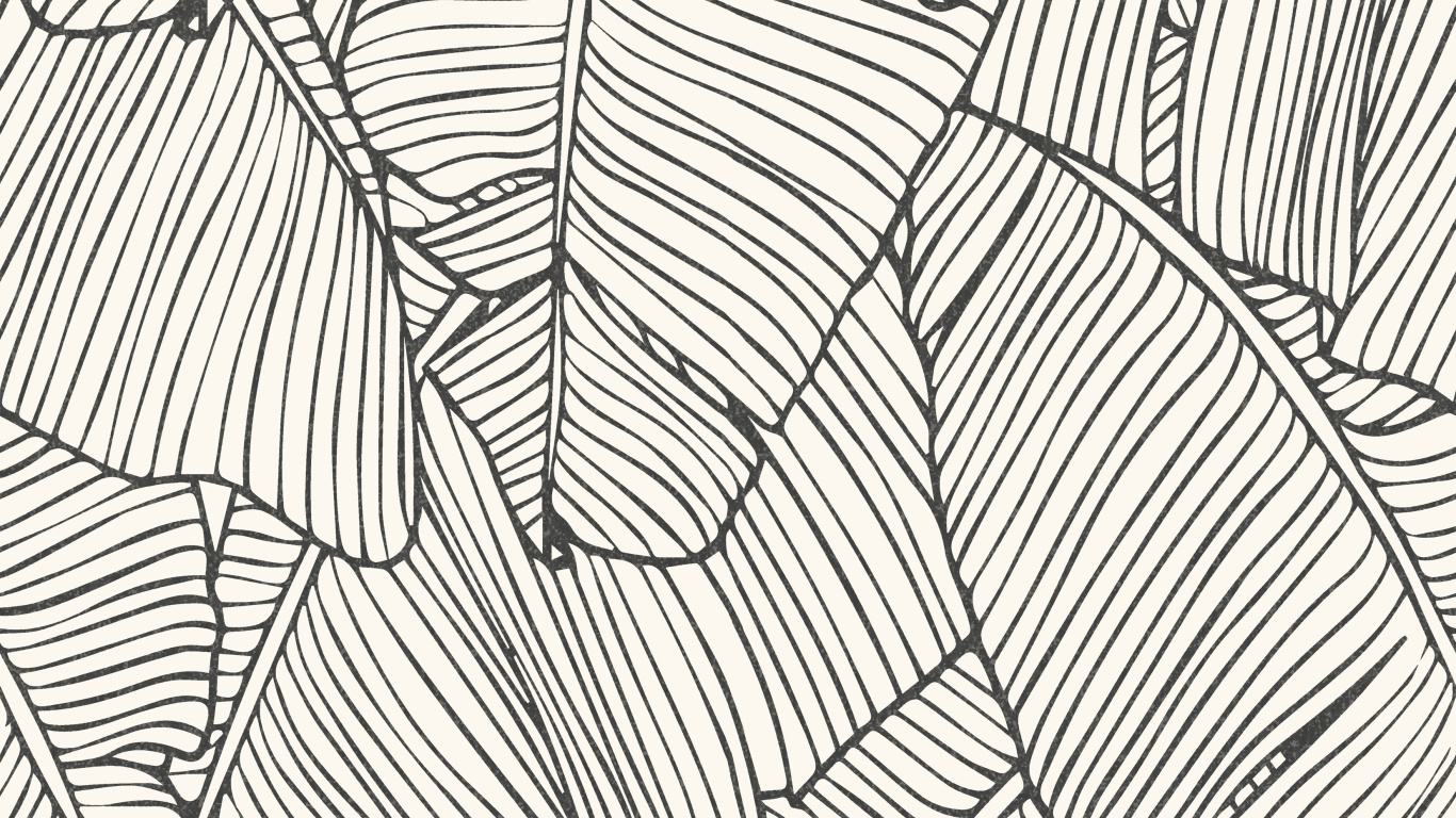 White and Black Striped Textile. Wallpaper in 1366x768 Resolution