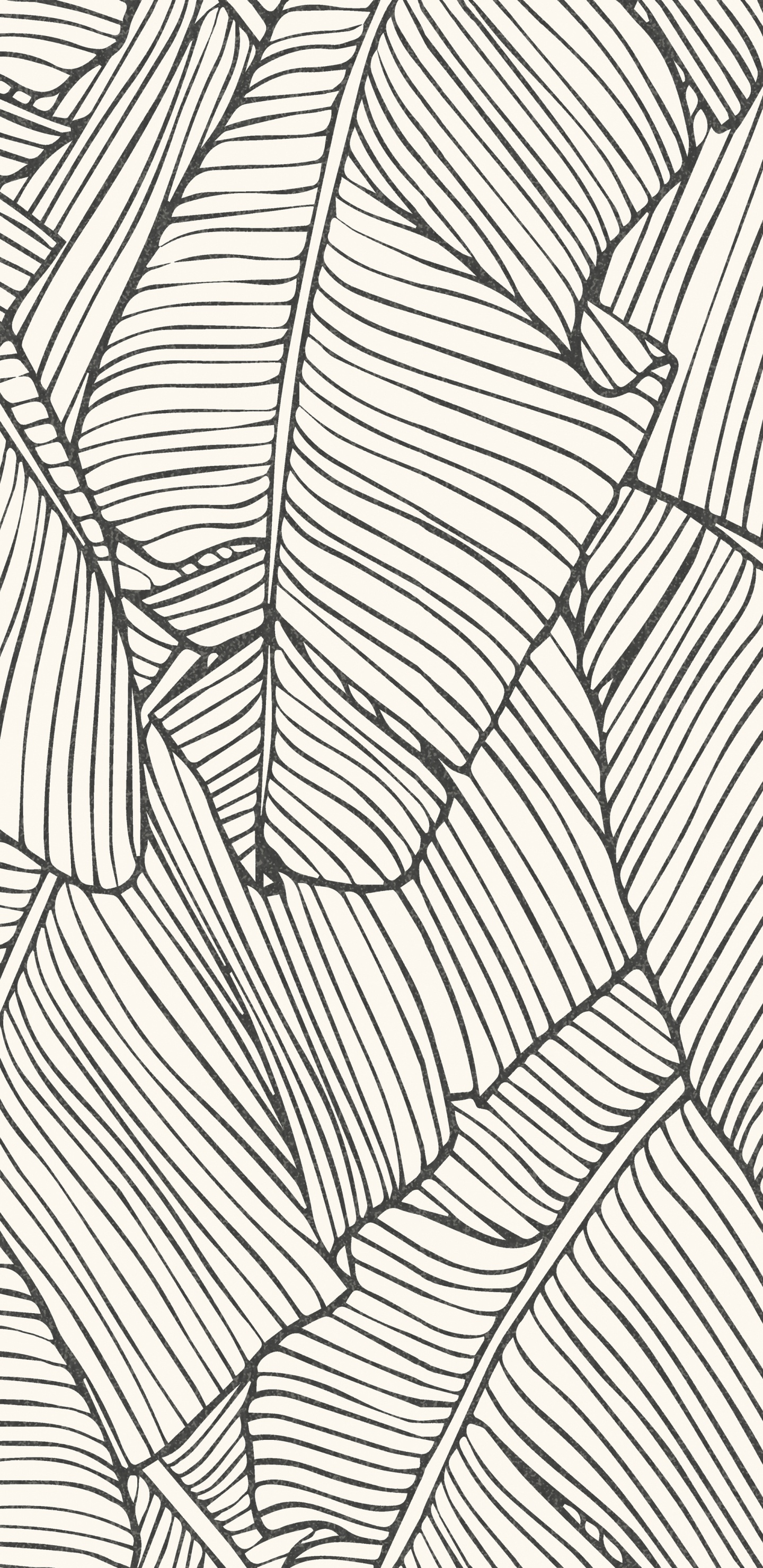 White and Black Striped Textile. Wallpaper in 1440x2960 Resolution