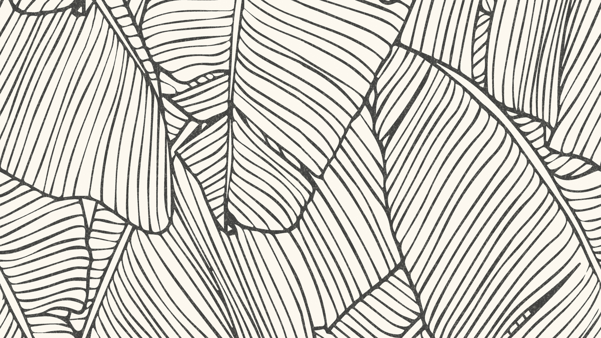 White and Black Striped Textile. Wallpaper in 1920x1080 Resolution