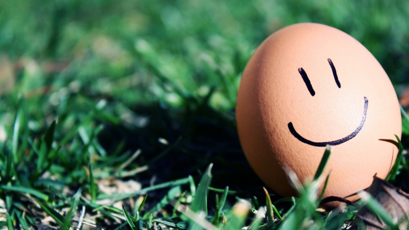 Oeuf Brun Sur L'herbe Verte Pendant la Journée. Wallpaper in 1366x768 Resolution