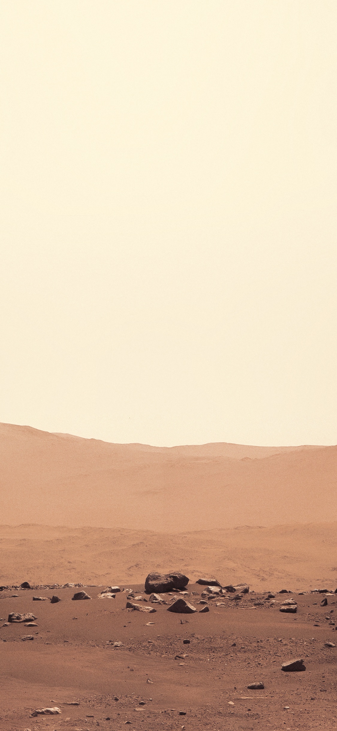 Mar, Perseverence, Mars 2020, IOS, Brown. Wallpaper in 1125x2436 Resolution