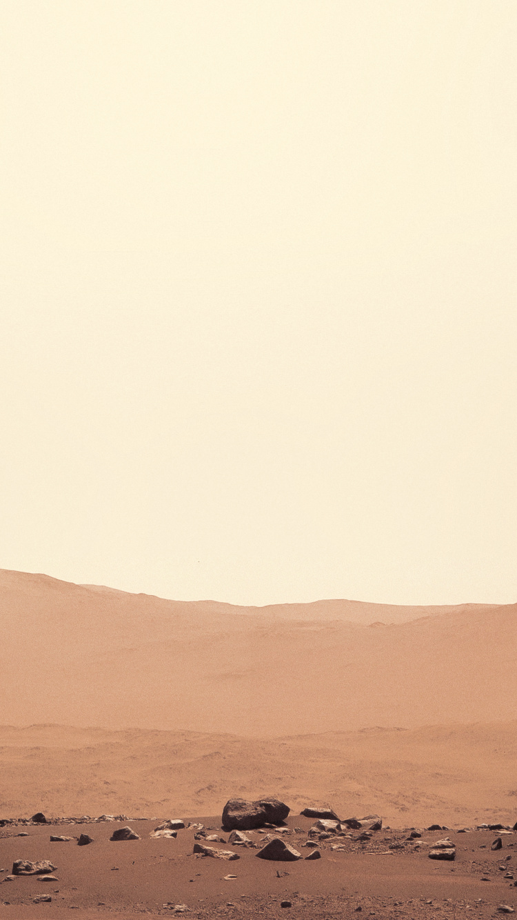 Mar, Perseverence, Mars 2020, IOS, Brown. Wallpaper in 750x1334 Resolution