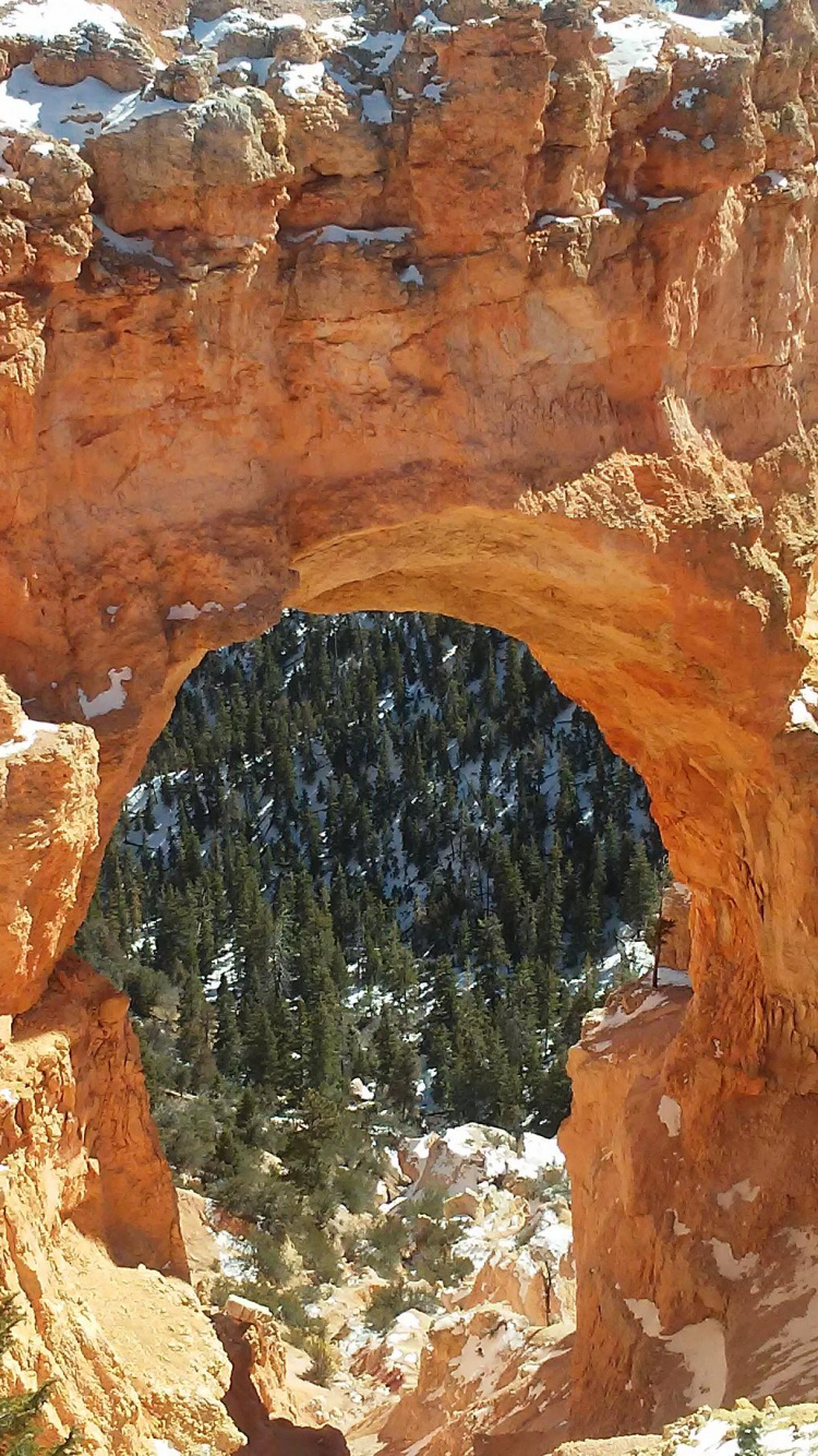 Brown Rock Formation During Daytime. Wallpaper in 750x1334 Resolution