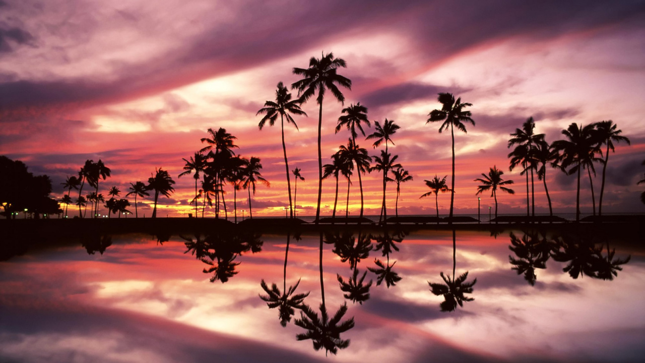 Palm Trees on Body of Water During Sunset. Wallpaper in 1280x720 Resolution