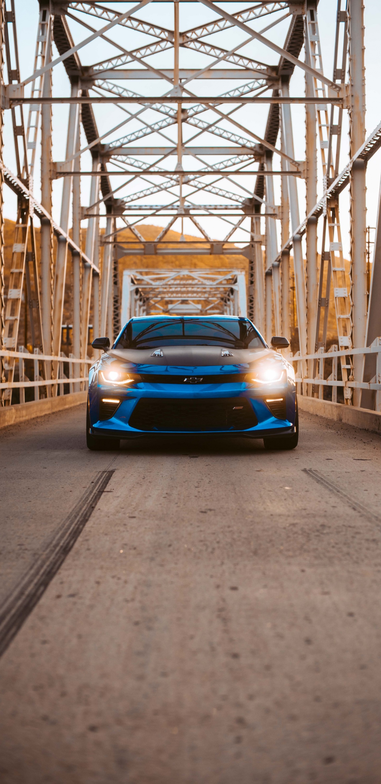 Blue Ferrari Car on Road During Daytime. Wallpaper in 1440x2960 Resolution