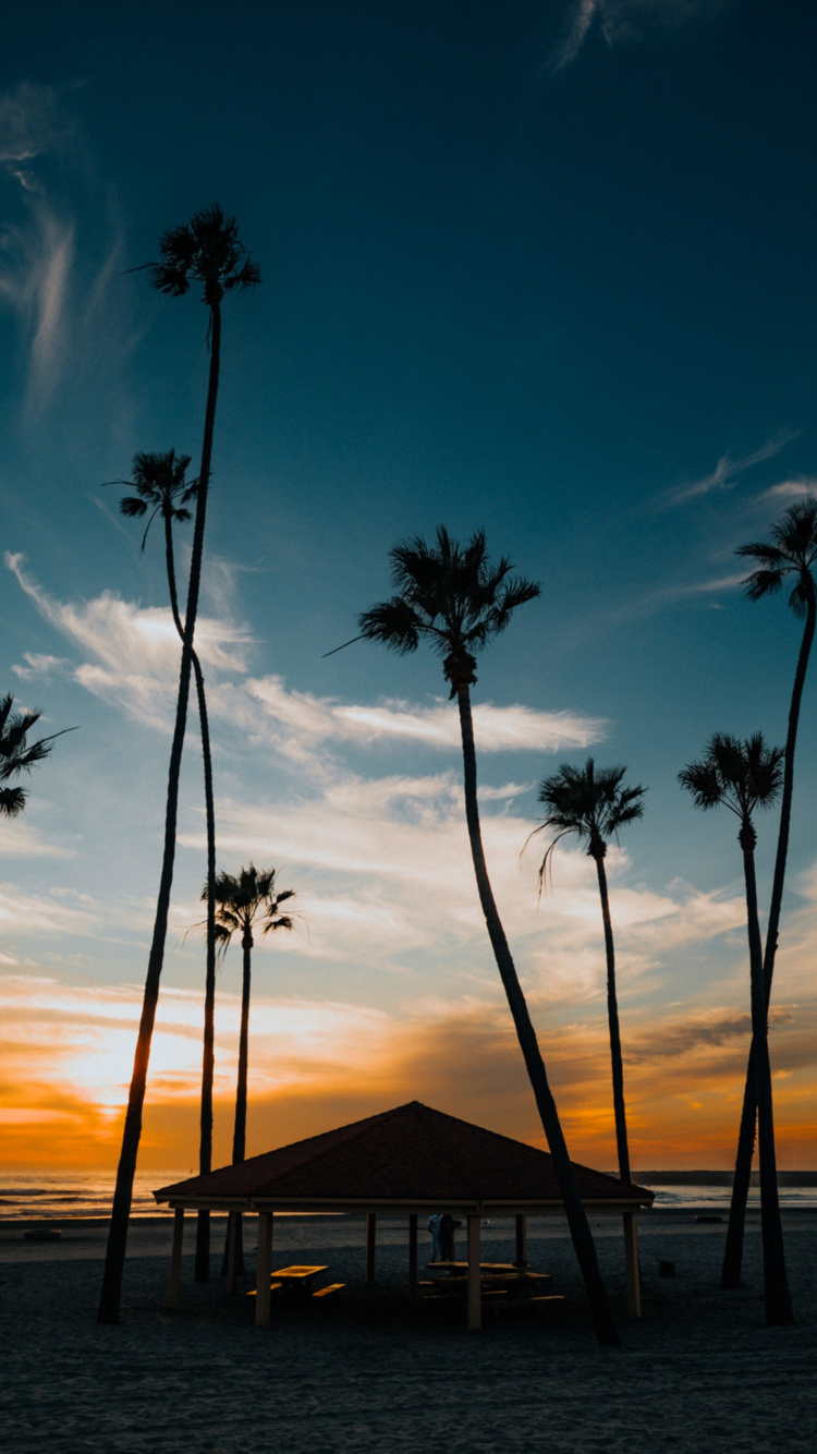 Luxe Agoris, Shazam, Spotify, Streaming Media, Eau. Wallpaper in 750x1334 Resolution