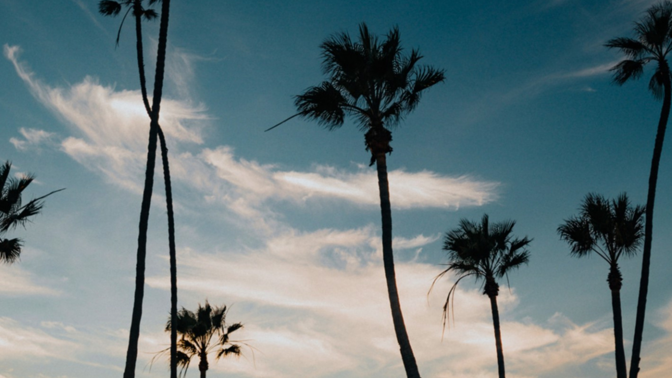 Shazam, 流媒体, 余辉, Azure, 黑色的 壁纸 1366x768 允许