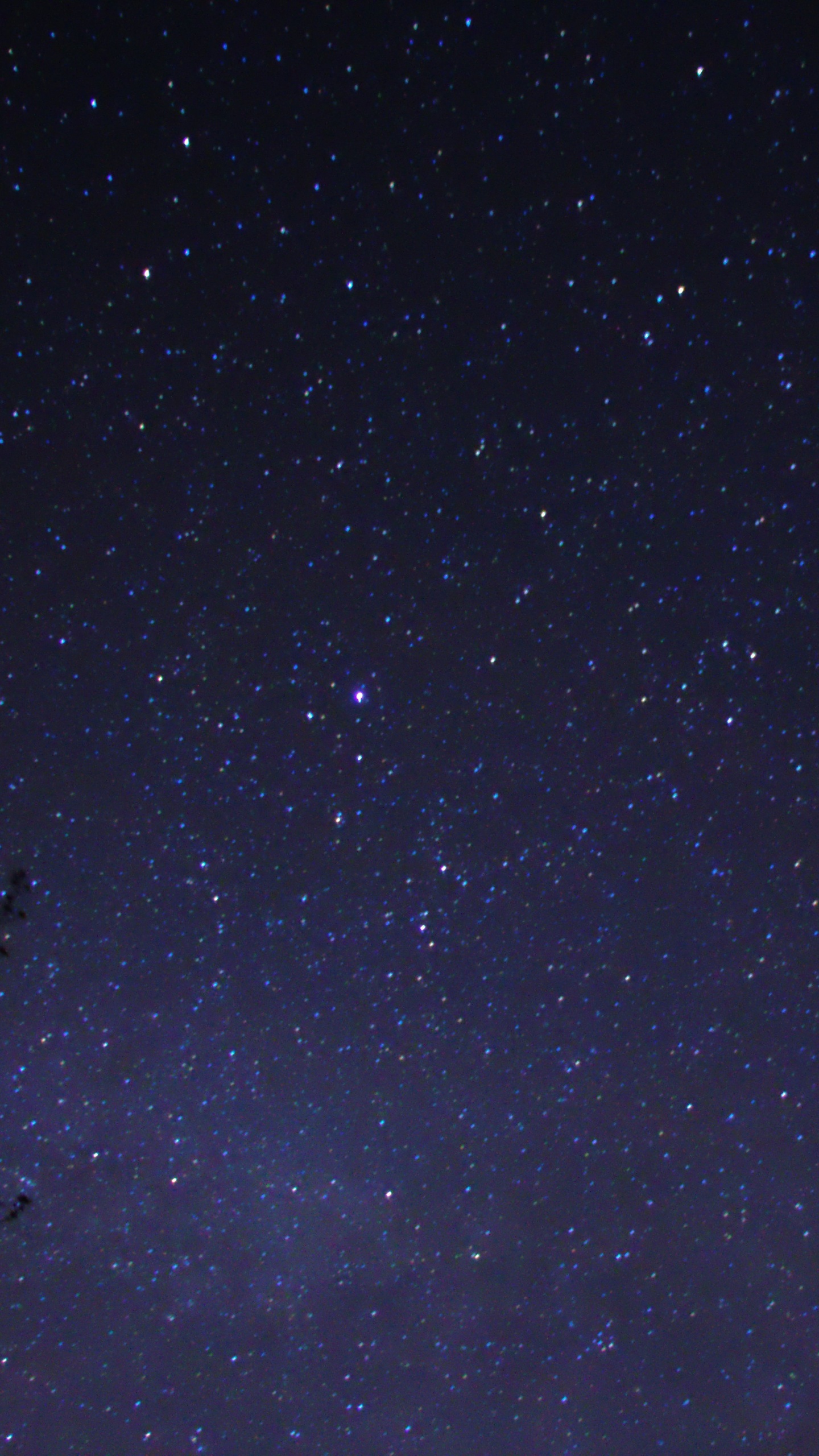 Cielo Estrellado Sobre la Noche Estrellada. Wallpaper in 1440x2560 Resolution