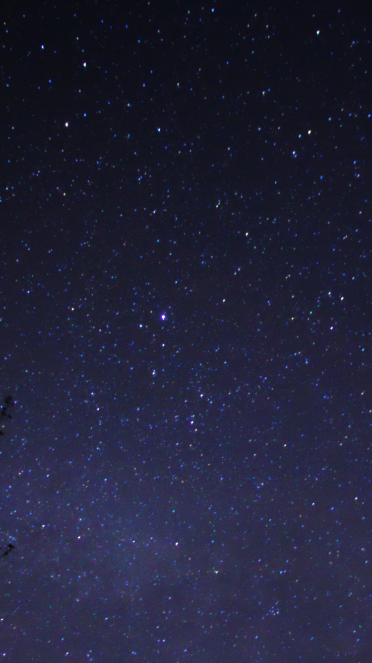 Cielo Estrellado Sobre la Noche Estrellada. Wallpaper in 750x1334 Resolution